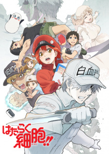 Hataraku Saibou!! 2nd Season