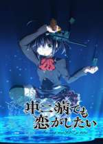 Su historia habla del “chuunibyou”, el “síndrome” por el que suelen pasar muchos adolescentes y con el que fingen tener superpoderes o una excéntrica personalidad. En este contexto, Yuuta es un “ex chuuni” que se avergüenza de sus anteriores años. Sin embargo, tendrá que recordar su etapa con el chuunibyou al conocer en su nuevo instituto a Rikka, una chica que todavía lo “padece”.