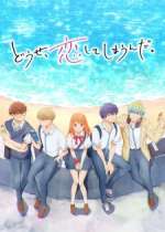 Es el año 2020 y Mizuha está pasando el peor diecisieteavo cumpleaños de la historia. Sus papás se olvidaron por completo de su cumple, todavía no puede conquistar al chico de último año que le encanta y, para colmo, todas las excursiones y torneos de la escuela se cancelaron por culpa de una nueva enfermedad. Está convencida de que jamás vivirá la juventud con la que siempre soñó... hasta que su amigo de la infancia, Mizuki, la invita a salir.