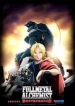 Fullmetal Alchemist: Brotherhood es la segunda serie de anime de la franquicia Fullmetal Alchemist, no obstante el título de esta serie continúa siendo «Fullmetal Alchemist» en la versión japonesa.