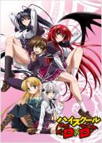 La historia se centra en Issei Hyoudou, que en su primera cita es asesinado por su novia Yuuma (quien en realidad es un angel caido), por poseer un sacred gear, pero resucitado como un miembro del clan Gremory, una familia de demonios e Issei deberá servir a Rias Gremory, la lider del clan, quien resulta ser la Idol de la escuela.